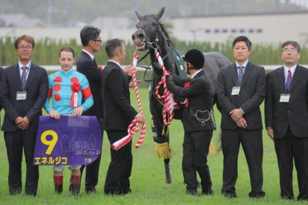 菊花賞2025レース回顧！エネルジコ最後の一冠制す！