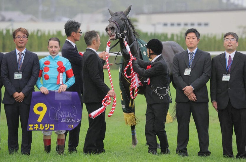 菊花賞2025レース回顧！エネルジコ最後の一冠制す！