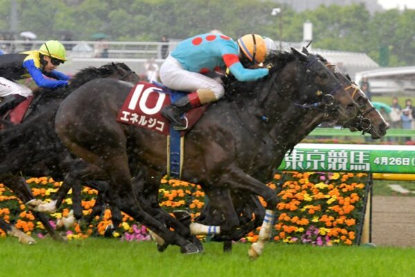 菊花賞2025データ分析！大穴はこの馬じゃい！