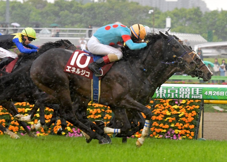 菊花賞2025データ分析！大穴はこの馬じゃい！