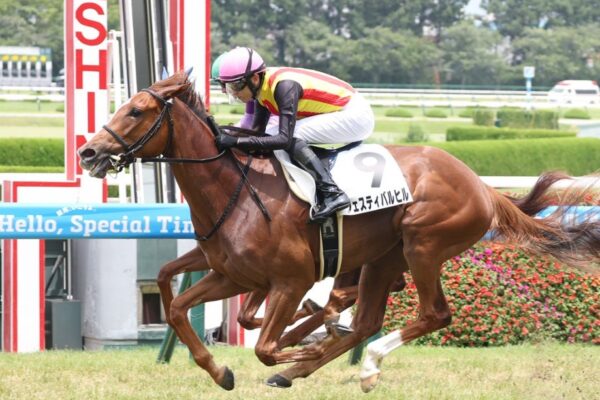 ファンタジーS2025データ分析！大穴はこの馬じゃい！