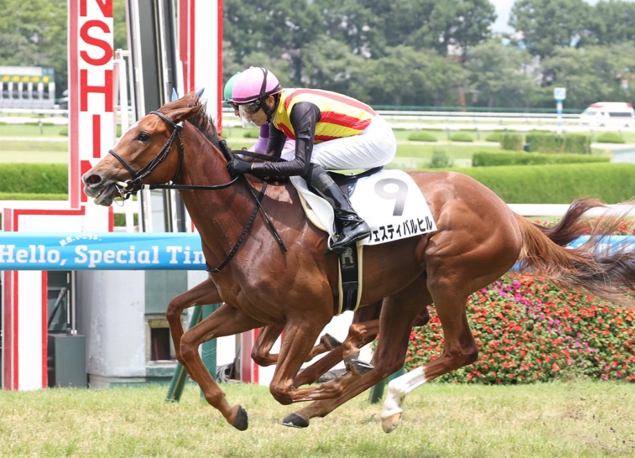 ファンタジーS2025データ分析！大穴はこの馬じゃい！