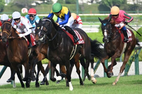 秋華賞2025データ分析！大穴はこの馬じゃい！