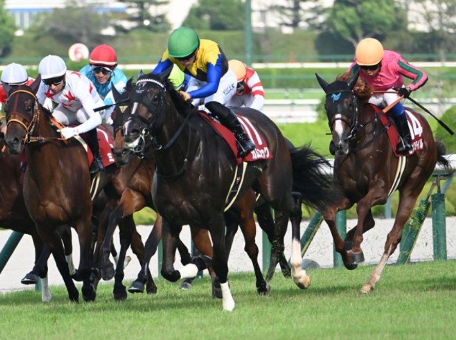 秋華賞2025データ分析!大穴はこの馬じゃい!