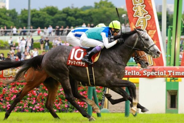 京都大賞典2025データ分析！大穴はこの馬じゃい！