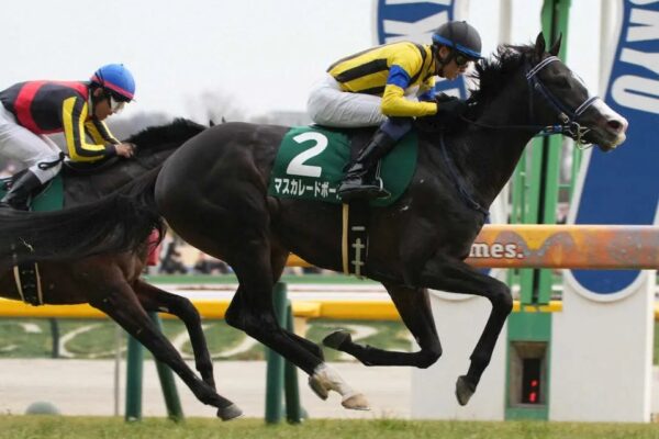 天皇賞秋2025データ分析！週末は雨？重馬場適正は？大穴はこの馬！