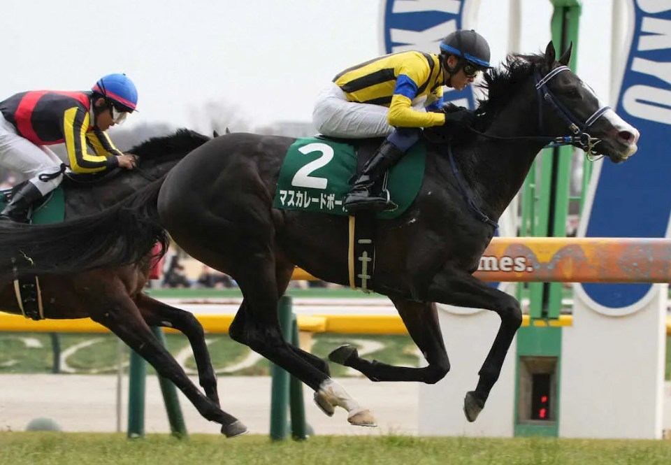 天皇賞秋2025データ分析!週末は雨?重馬場適正は?大穴はこの馬!