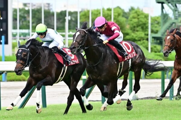 菊花賞2025予想！大穴狙いで逝くぜぇ！