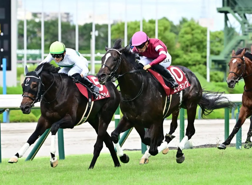 菊花賞2025予想!大穴狙いで逝くぜぇ!