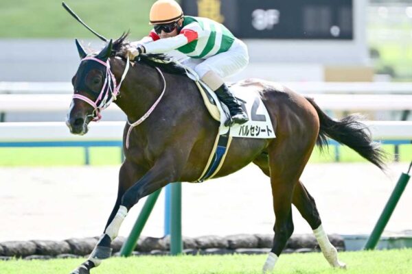 京都2歳S2025データ分析！大穴はこの馬じゃー！