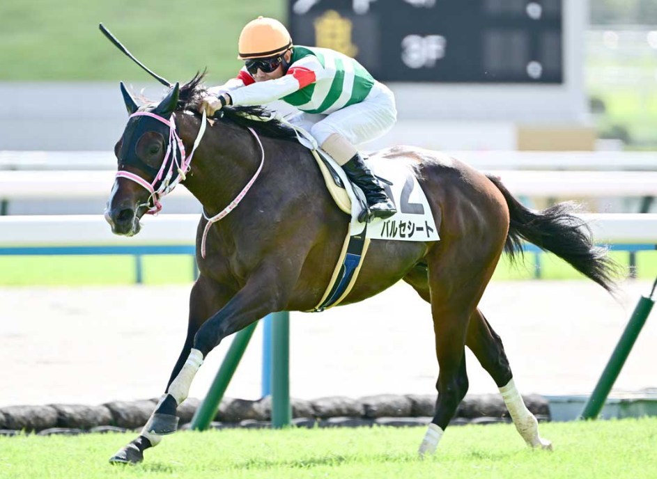 京都2歳S2025データ分析！大穴はこの馬じゃー！