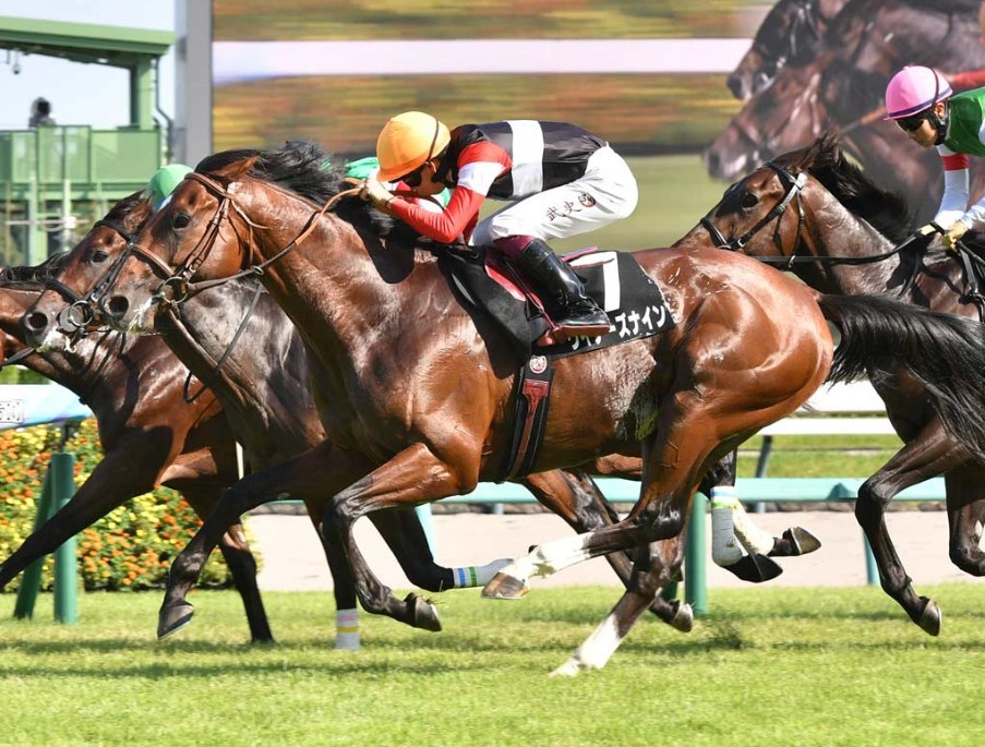 京都2歳S2025予想！大穴狙いで行くぜぇ！