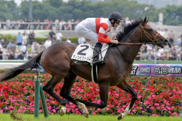 東京スポーツ杯2歳S2025データ分析！大穴はこの馬じゃー！