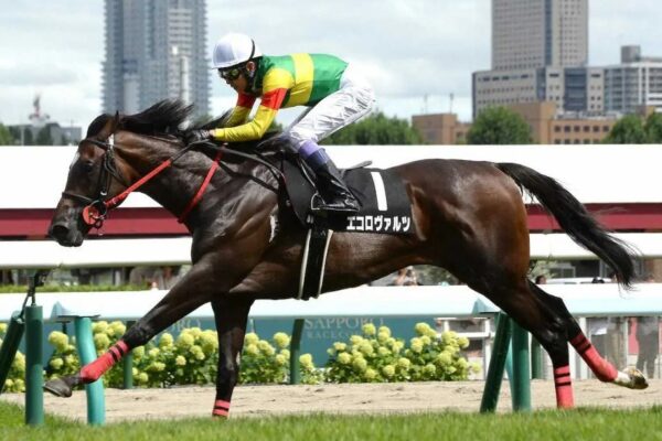 福島記念2025予想！大穴狙いで逝くぜぇ！