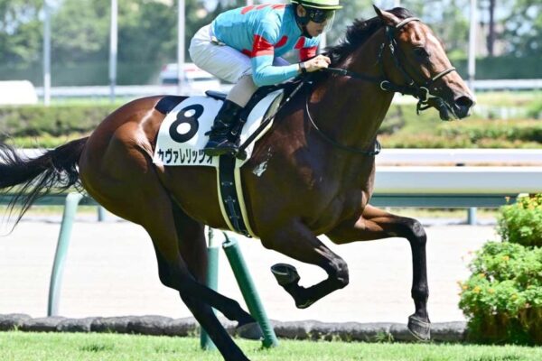 デイリー杯2歳S2025データ分析！大穴はこの馬じゃー！