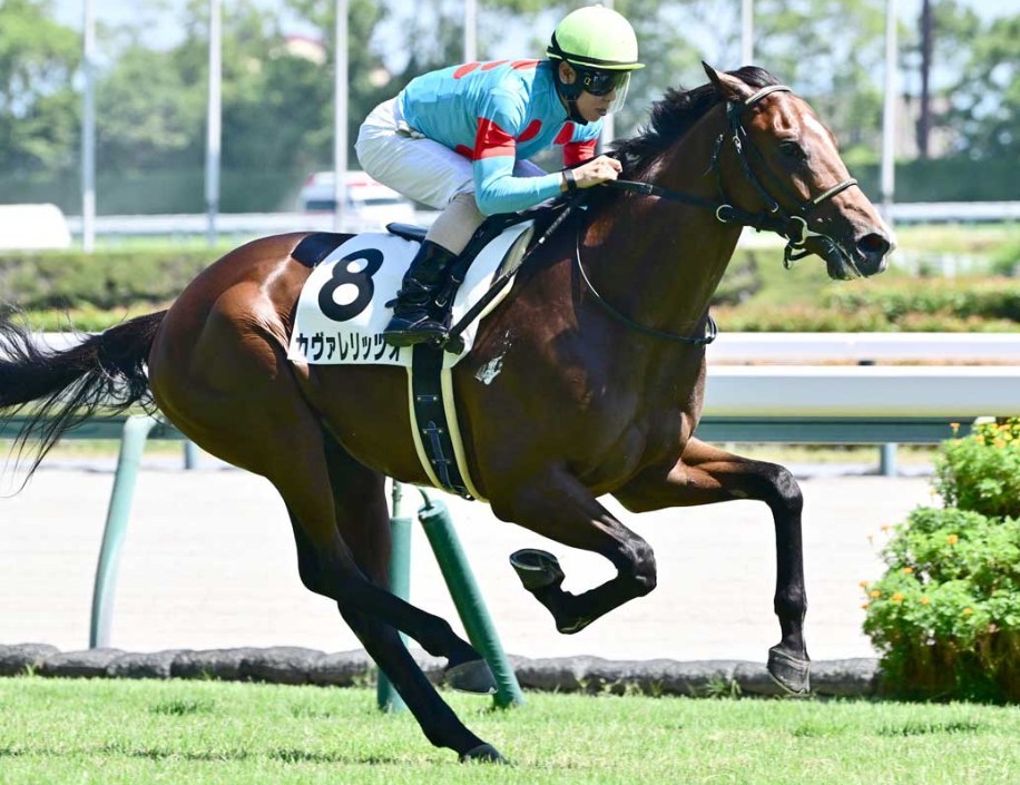 デイリー杯2歳S2025データ分析！大穴はこの馬じゃー！