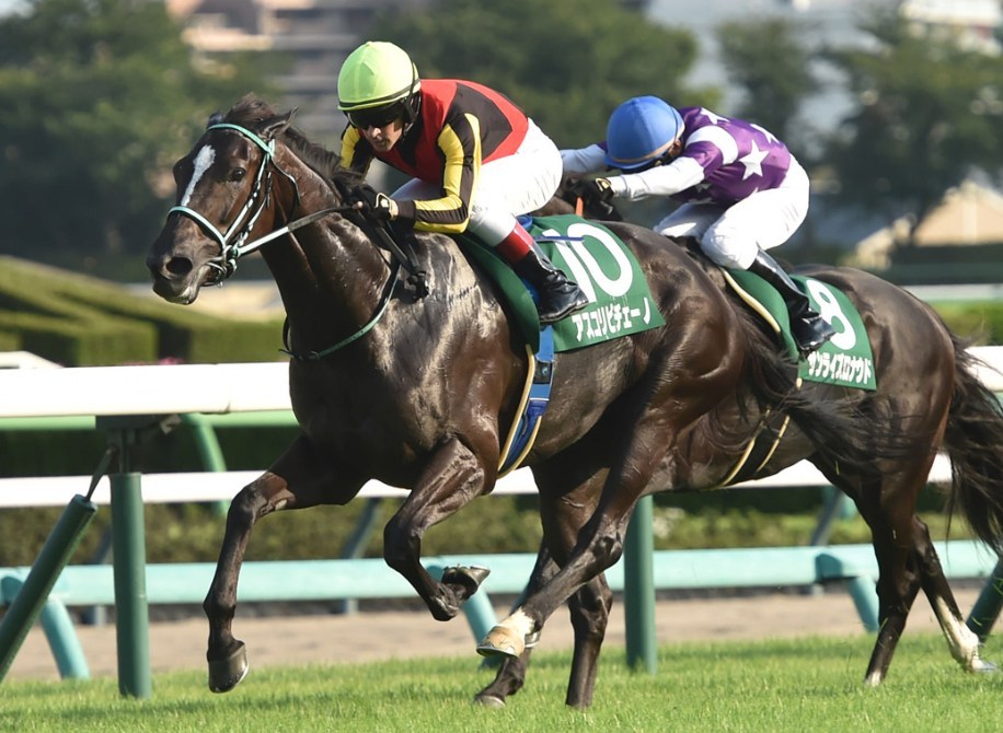 マイルチャンピオンシップ2025調教チェック！特A評価はこの馬だ！