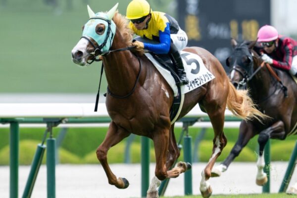 京王杯2歳S2025データ分析！大穴はこの馬じゃい！