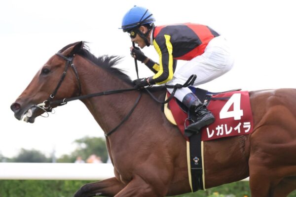 エリザベス女王杯2025データ分析！大穴はこの馬じゃい！