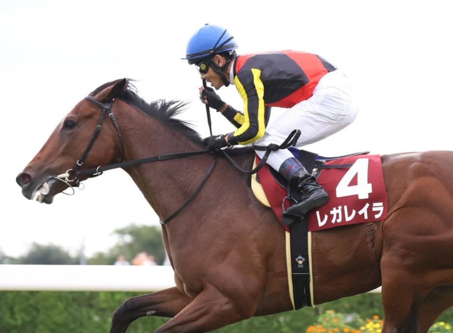 エリザベス女王杯2025データ分析！大穴はこの馬じゃい！