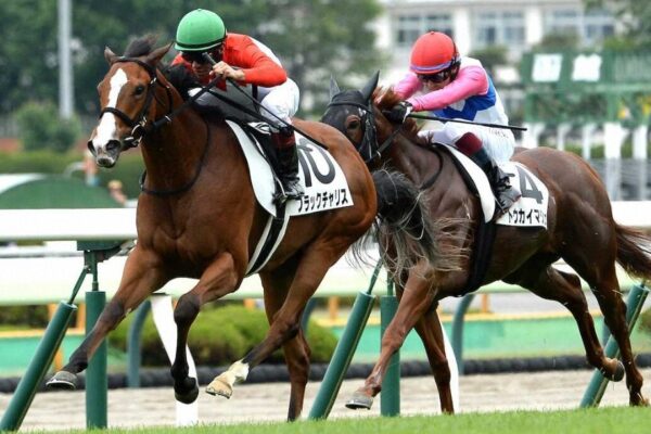 ファンタジーS2025予想！大穴狙いで逝くぜぇ！