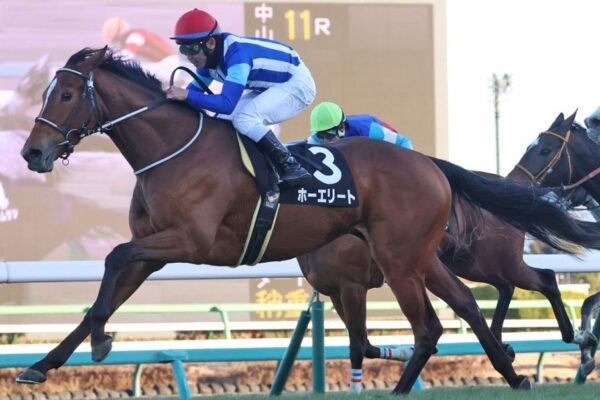 アルゼンチン共和国杯2025予想！大穴狙いで逝くぜぇ！