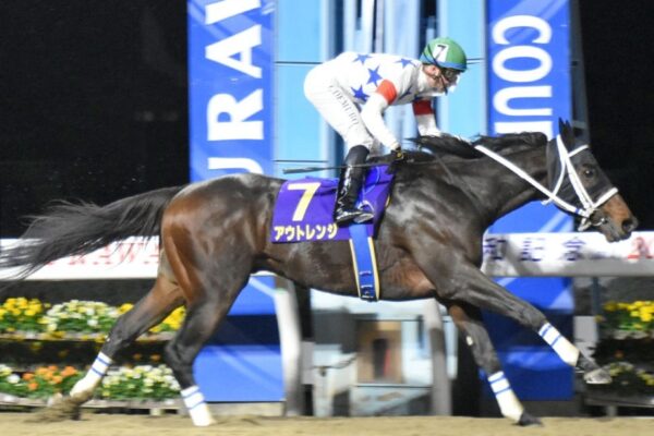 みやこS2025データ分析！大穴はこの馬じゃい！