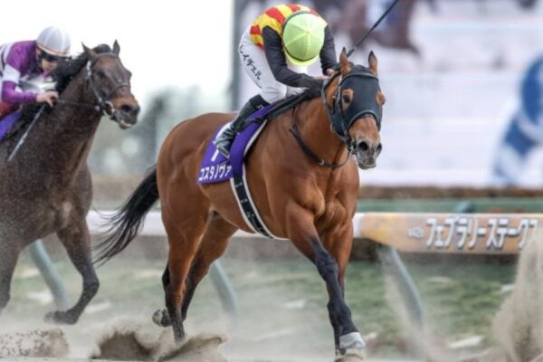 武蔵野S2025データ分析！大穴はこの馬じゃー！