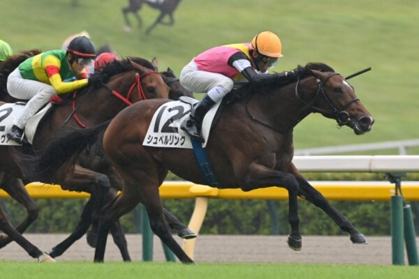 京王杯2歳S2025予想！大穴狙いで逝くぜぇ！