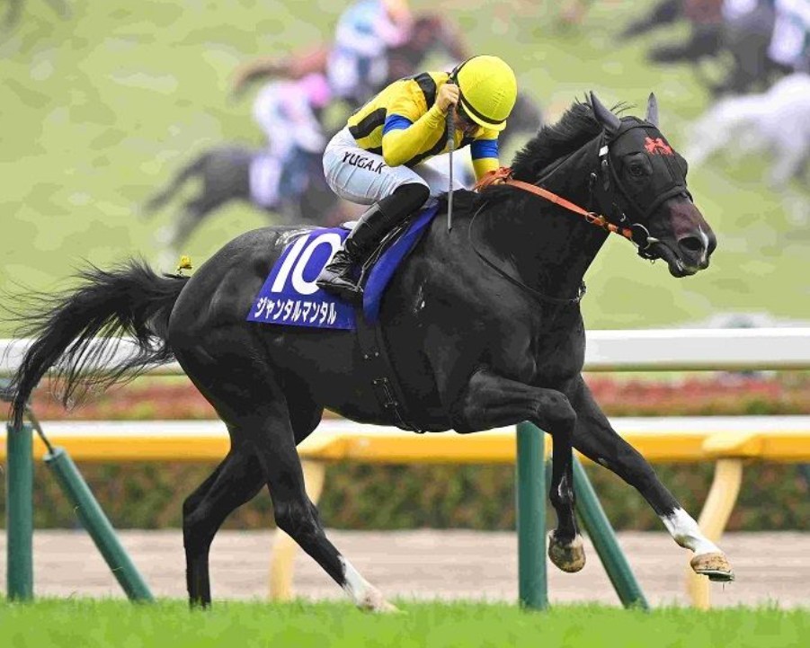 マイルチャンピオンシップ2025データ分析！大穴はこの馬じゃー！