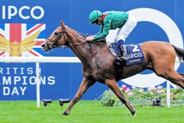 ジャパンカップ2025調教チェック！特A評価はこの馬だ！