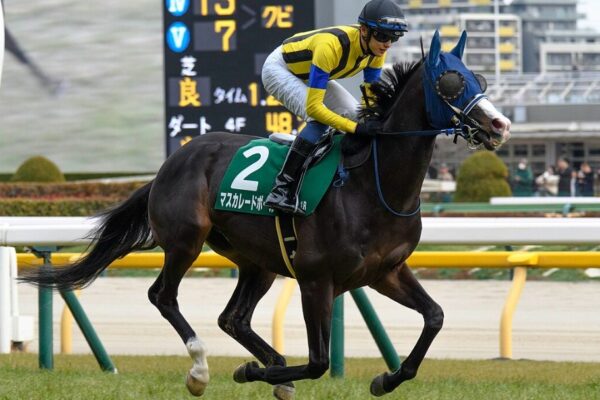 ジャパンカップ2025データ分析！大穴はこの馬じゃー！