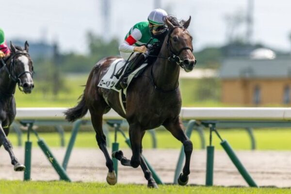 東京スポーツ杯2歳S2025予想！大穴狙いで逝く？