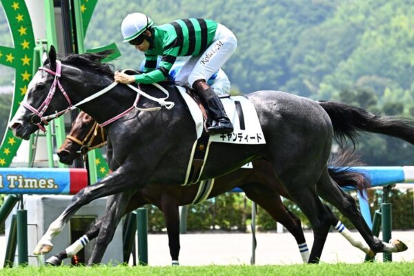 デイリー杯2歳S2025予想！大穴狙いで逝くぜぇ！