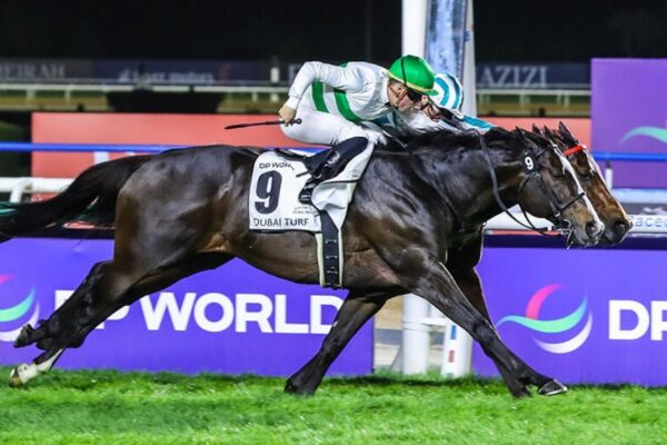 マイルチャンピオンシップ2025予想！大穴狙いで逝くぜぇ！