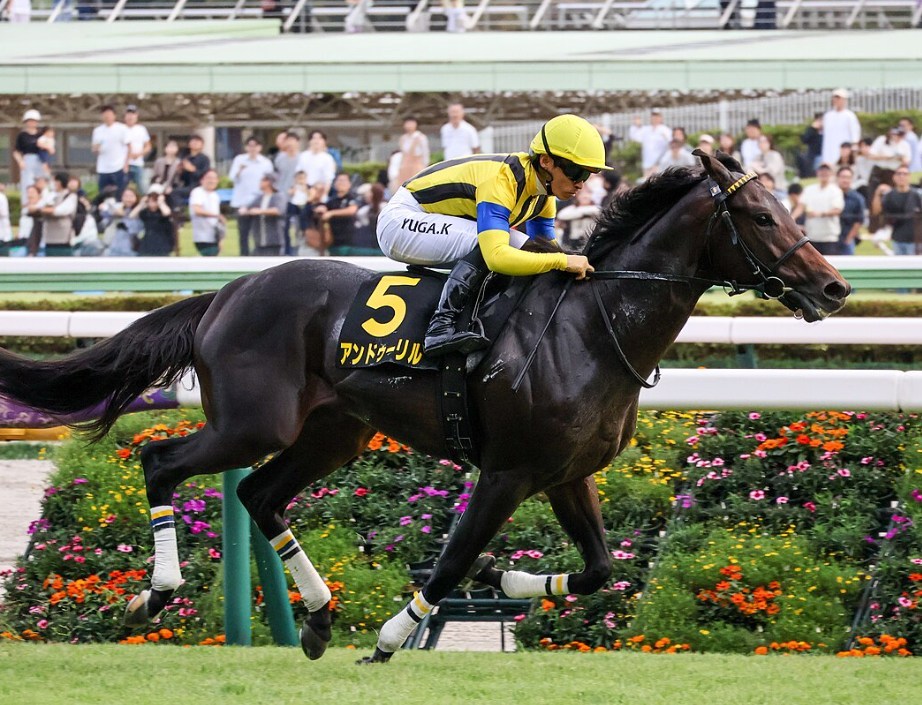 ホープフルS2025データ分析！大穴はこの馬じゃー！