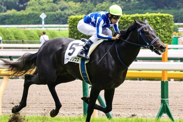 朝日杯フューチュリティS2025データ分析！大穴はこの馬じゃー！