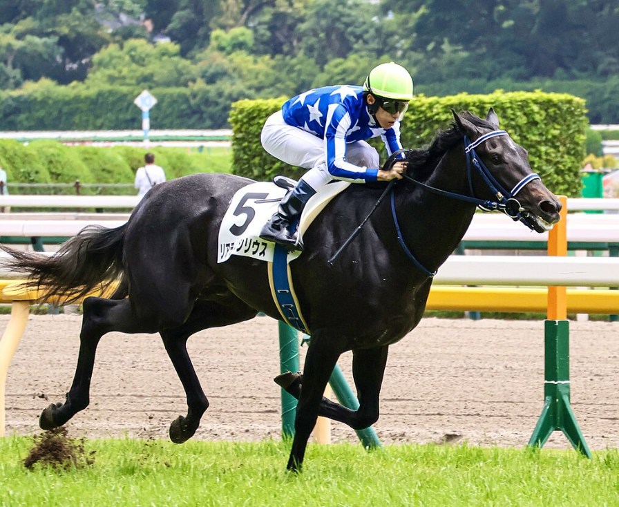 朝日杯フューチュリティS2025データ分析！大穴はこの馬じゃー！