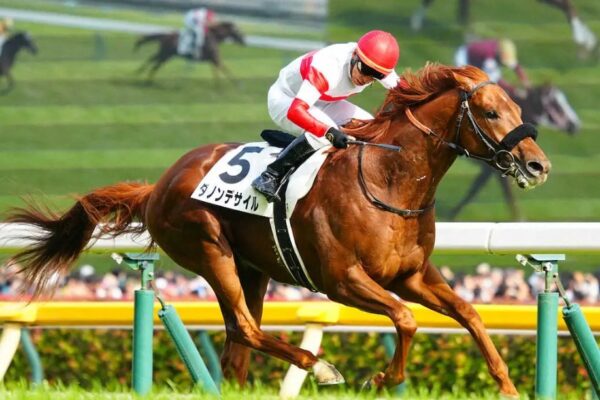有馬記念2025調教チェック！特A評価はこの馬だ！