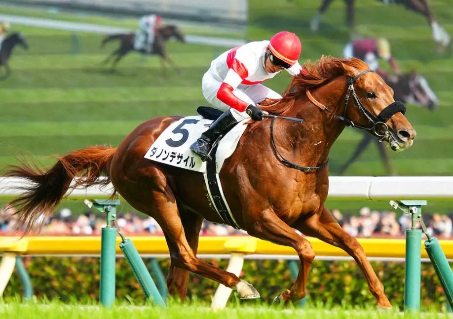 有馬記念2025調教チェック！特A評価はこの馬だ！