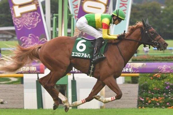 朝日杯フューチュリティS2025予想！大穴狙いで逝くぜぇ！