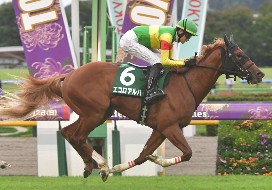 朝日杯フューチュリティS2025予想！大穴狙いで逝くぜぇ！