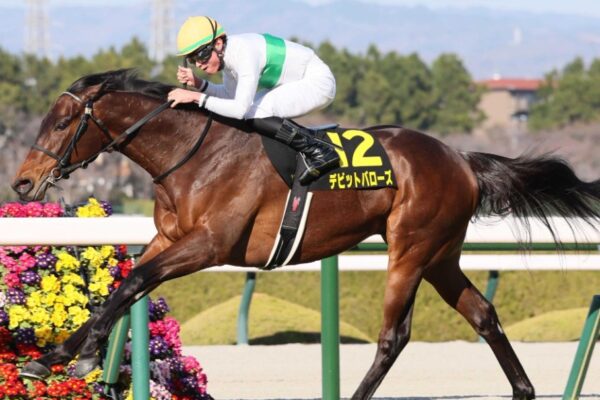 鳴尾記念2025予想！大穴狙いで行くぜー！