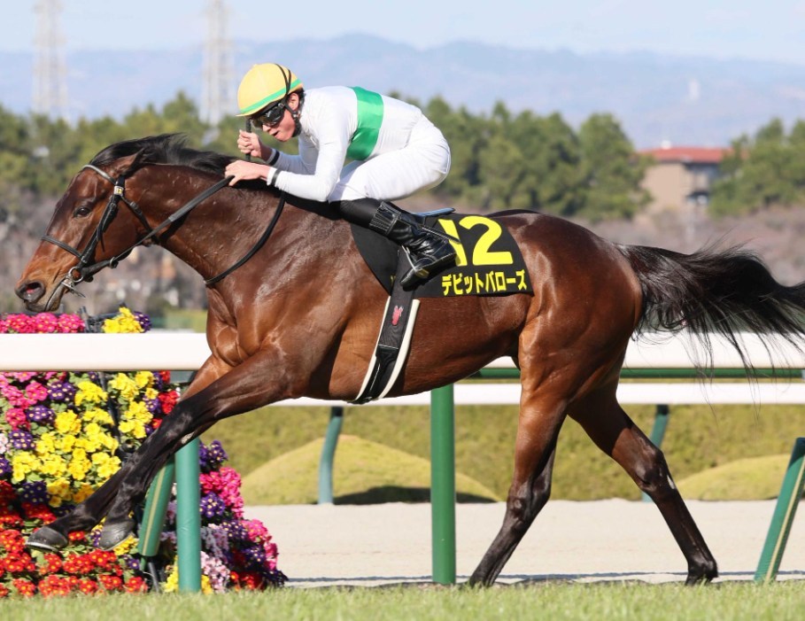 鳴尾記念2025予想！大穴狙いで行くぜー！