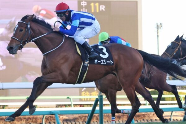 ステイヤーズS2025データ分析！大穴はこの馬じゃー！