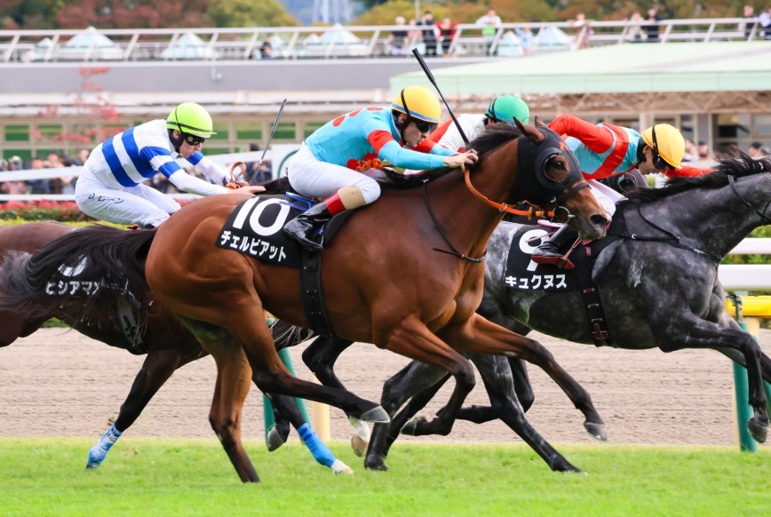 ターコイズS2025データ分析！大穴はこの馬じゃー！