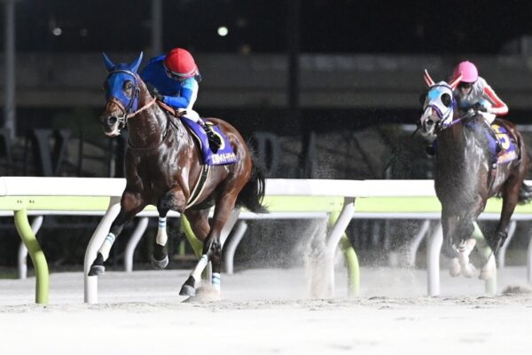 チャンピオンズC2025データ分析！大穴はこの馬じゃー！