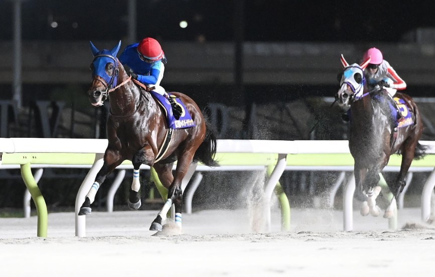 チャンピオンズC2025データ分析！大穴はこの馬じゃー！