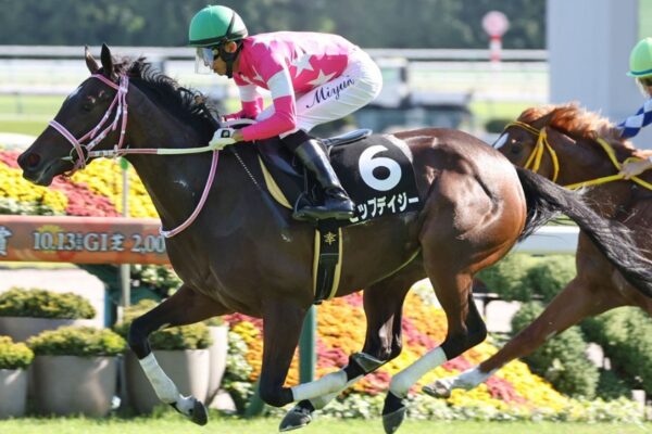 ターコイズS2025予想！大穴狙いで行くぜぇ！