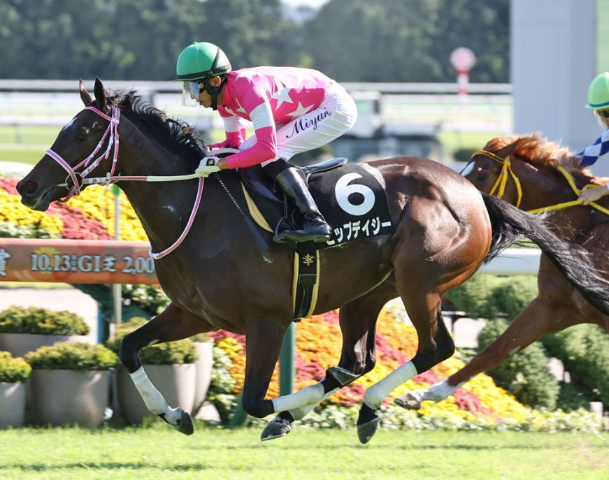 ターコイズS2025予想！大穴狙いで行くぜぇ！